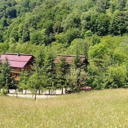 Pensiunea Simina Viseu de Jos Exterior foto
