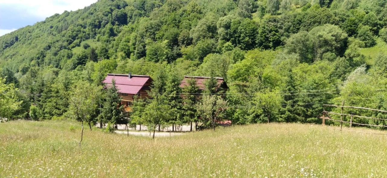 Pensiunea Simina Viseu de Jos Exterior foto