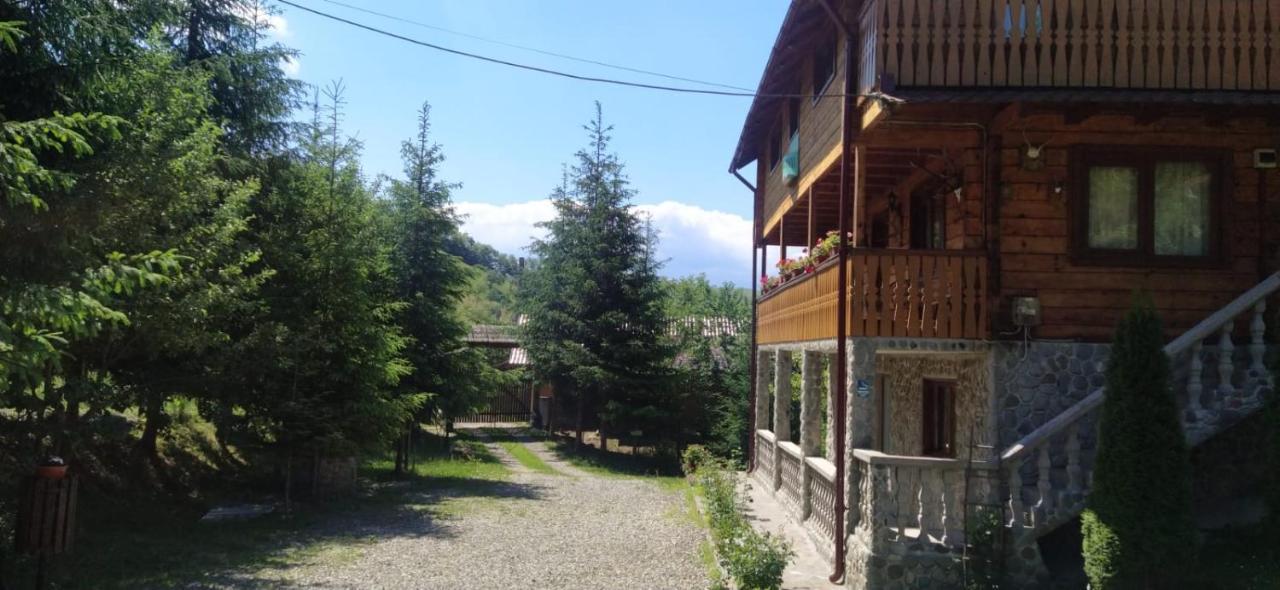 Pensiunea Simina Viseu de Jos Exterior foto