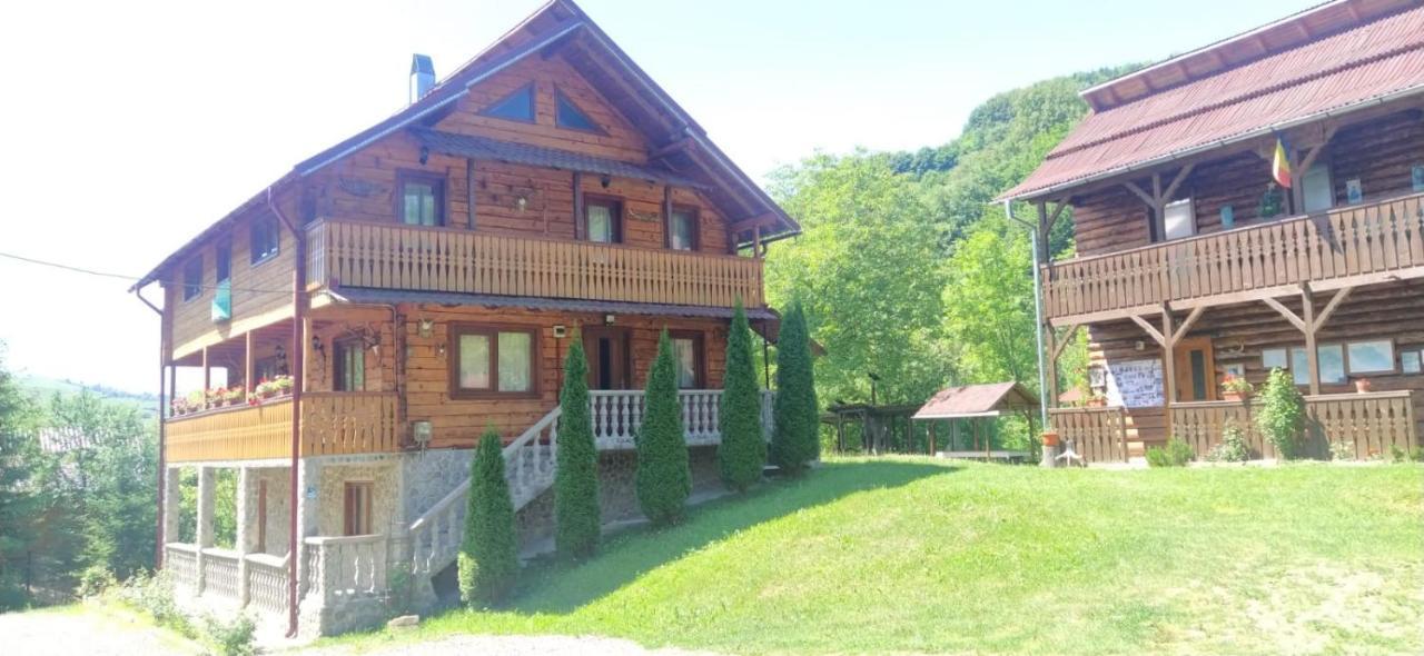 Pensiunea Simina Viseu de Jos Exterior foto