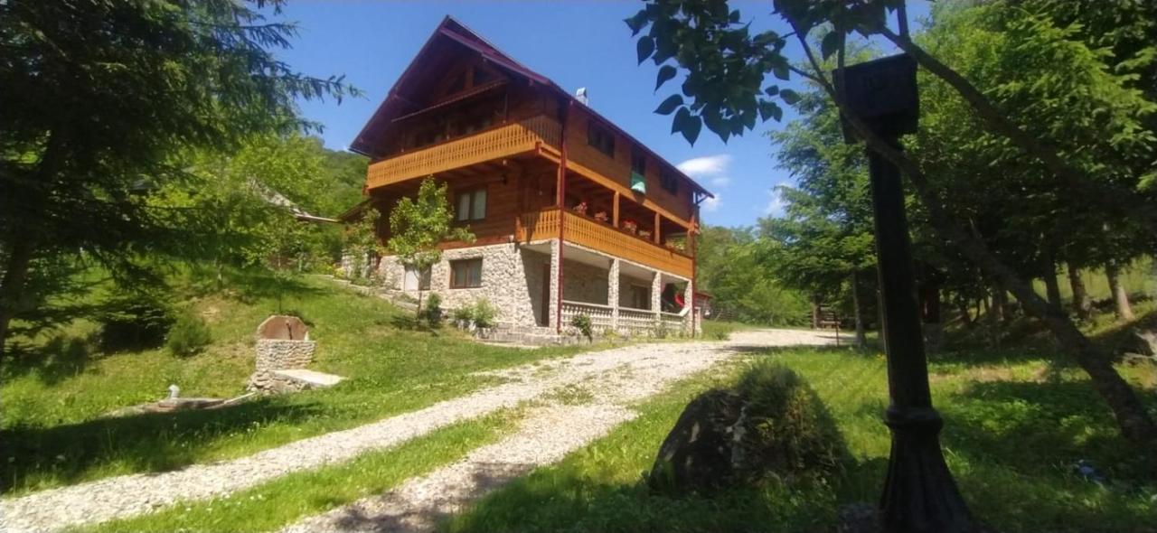 Pensiunea Simina Viseu de Jos Exterior foto