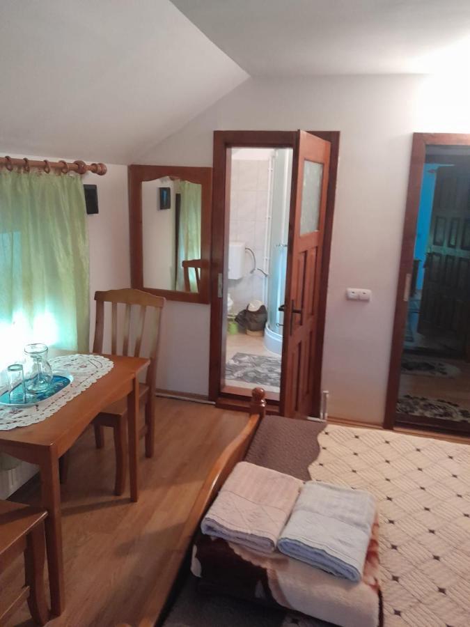 Pensiunea Simina Viseu de Jos Exterior foto