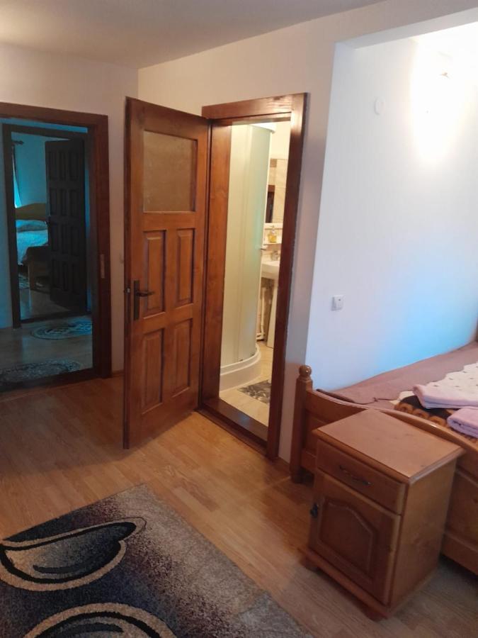 Pensiunea Simina Viseu de Jos Exterior foto