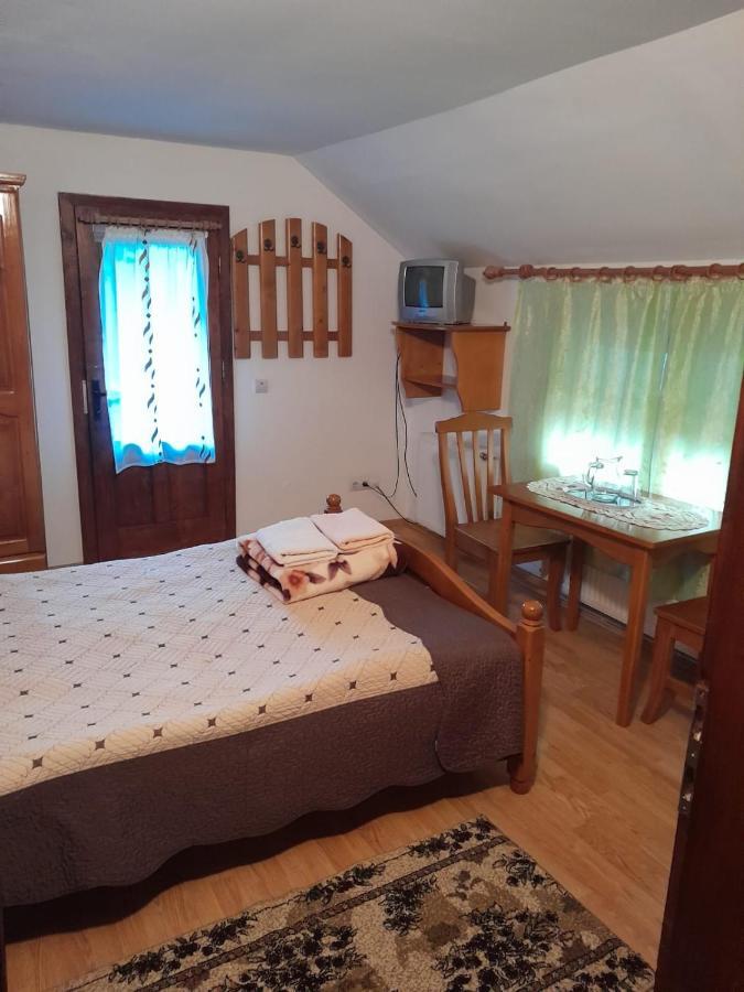 Pensiunea Simina Viseu de Jos Exterior foto
