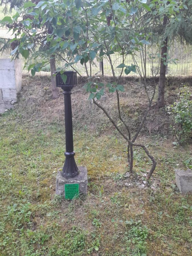 Pensiunea Simina Viseu de Jos Exterior foto