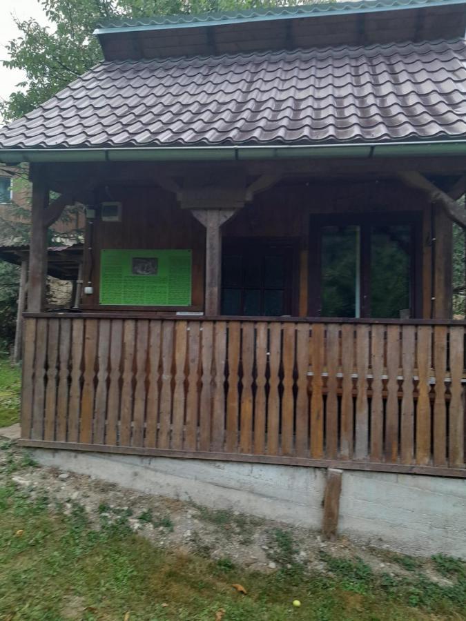 Pensiunea Simina Viseu de Jos Exterior foto